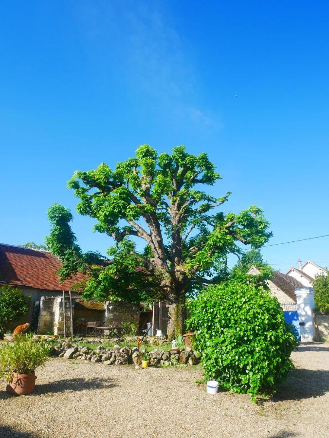 Au Coeur De La Cour Villa Saint-Georges-sur-Cher Eksteriør bilde