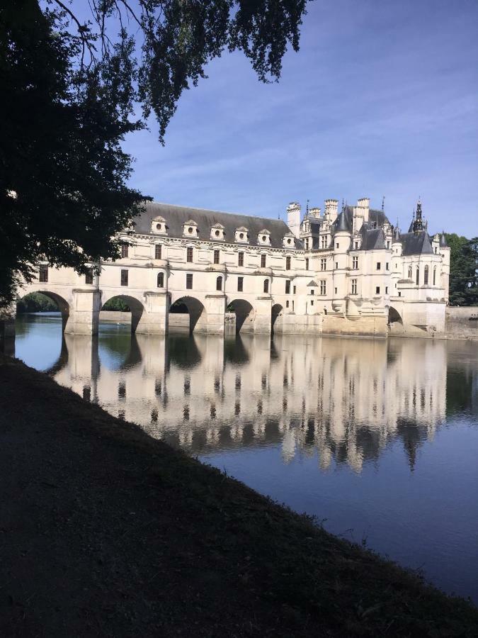 Au Coeur De La Cour Villa Saint-Georges-sur-Cher Eksteriør bilde